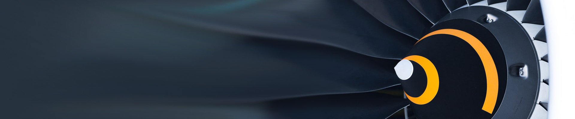 SPANTAX Boeing 737 EC-DZH